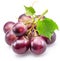 Small bunch of red table grape with grape leaves isolated on white background