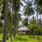 Small bungalow at the palm trees plantation