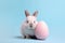 Small bunny next to large pastel pink Easter egg in front of blue studio background