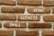 Small business grant symbol. Concept words Small business grant on red bricks on a beautiful brick wall background. Business,