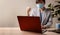 Small Business and Successful during Coronavirus Concept. blurred Gladful Business Woman wearing Mask, Working on Laptop