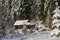 Small cabin covered with fresh snow