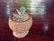 Small cactus in coconut shell pot