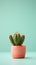 A small cactus plant in a pot on a turquoise background, AI