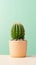 Small cactus in a pot on green background, AI