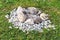 Small cairn of natural stones arranged on grass