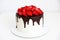 Small cake decorated with chocolate and strawberries with white background