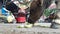 Small Calf Eating Cucumber on Rishikesh Street in India