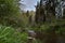 Small, calm countryside river flowing through forest