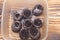 Small capsules with black peat soil with planted seeds for growing plants