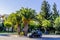 A small car in the shade of beautiful date palms on a sunny morning. Greece.