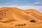 Small caravan of camels in the dunes Sahara Desert