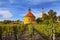 Small Carpathian Wine Route