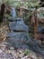 Small cascade on Greaves Creek on the Grand Canyon Track in the Blue Mountains