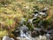 Small cascades with burbling water, alpine brook detail