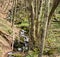 Small Cascading Mountain Waterfalls in the Woods