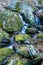 Small Cascading Waterfall on Apple Orchard Mountain