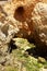 Small cave in the Ponta Da Piedade Headland in Lagos