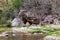 A small cave in the rocks near the waterfall with green water pond. Toll del Baladre, Las Fuentes del Algar / Algar fountains,