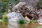 A small cave in the rocks near the waterfall with green water pond. Toll del Baladre, Las Fuentes del Algar / Algar fountains,