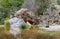 A small cave in the rocks near the waterfall with green water pond. Toll del Baladre, Las Fuentes del Algar / Algar fountains,