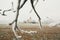 Small cemetery amid frozen landscape