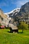 Small Chalet with mountain backdrop, Grindelwald