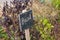 small chalkboard sign marking basil growing in home garden