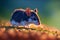 A small and charming mouse roams the lush meadow, illuminated by the soft glow of sunset. AI generated