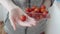 A small cherry tomato in a woman's hand. Close-up of organic fresh red tomatoes harvested on eco farm.