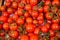 Small Cherry Vine Tomatoes