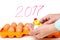 Small chicken in hands container background with eggs