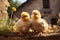 Small chickens against the background of spring nature on Easter, in a bright sunny day at a ranch in a village