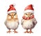 Small chickens birds in red Santa hat isolated on white background. Christmas farm chicken watercolor illustration