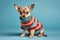 Small Chihuaha dog with knitted winter sweater on blue background