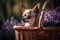 a small chihuahua sitting in a basket with lavender flowers in the background