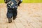 Small child back going to fother on the wooden road in autumn park