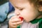 Small child eats appetizing strawberries