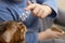 A small child feeds ice cream from a finger to a domestic red leopard Bengal cat. Close-up. Soft focus.