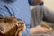 A small child feeds ice cream from a finger to a domestic red leopard Bengal cat. Close-up. Soft focus.