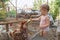 A small child is looking at chickens and a rooster in a chicken coop on a farm and feeds chickens with cucumbers