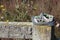 Small child`s grey and green shoe sitting on a weathered fence post.