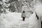 Small child in ski mask and hat with pompom standing on snowy staircase among snowbanks under snowfall