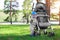 Small child stands near a baby stroller in the forest on the green grass at the sunset. Happy child at the nature. Preschool age.