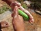 A small child washing hands with soap.