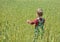 Small child in a wheat field stands with his back to the viewer. little child walks in a wheat field. a little boy in a wheat