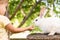 Small children feed a large white rabbit sitting on a tree stump in the garden in summer. Hare in wild meadow gnaws and