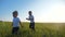 Small children run on the green grass on a summer day. Blond brother and sister have fun outdoors.