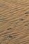 Small children`s footprints on rippled sand