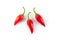Small chilli pepper